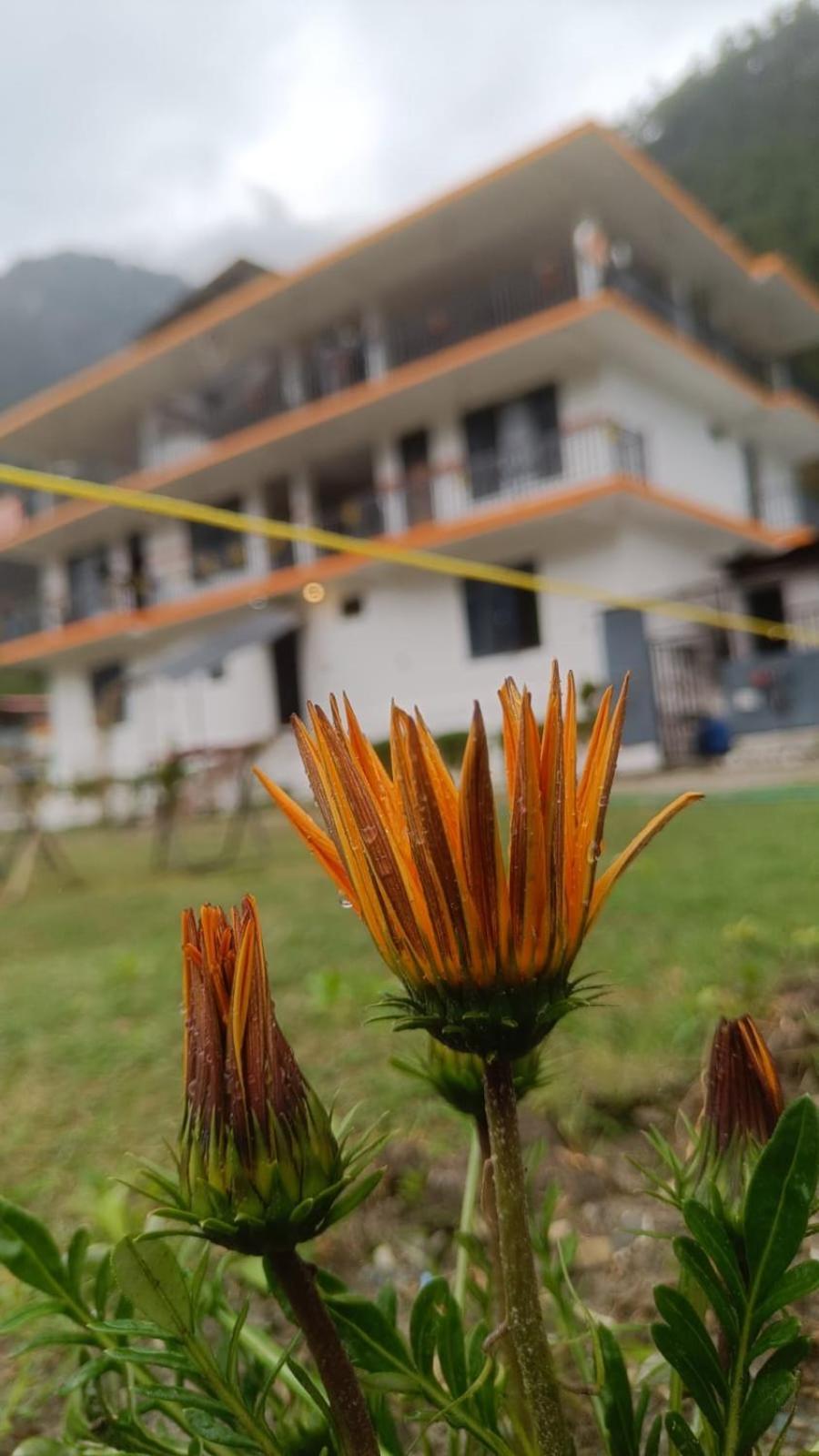 Himtrek Stay Kasol Eksteriør bilde