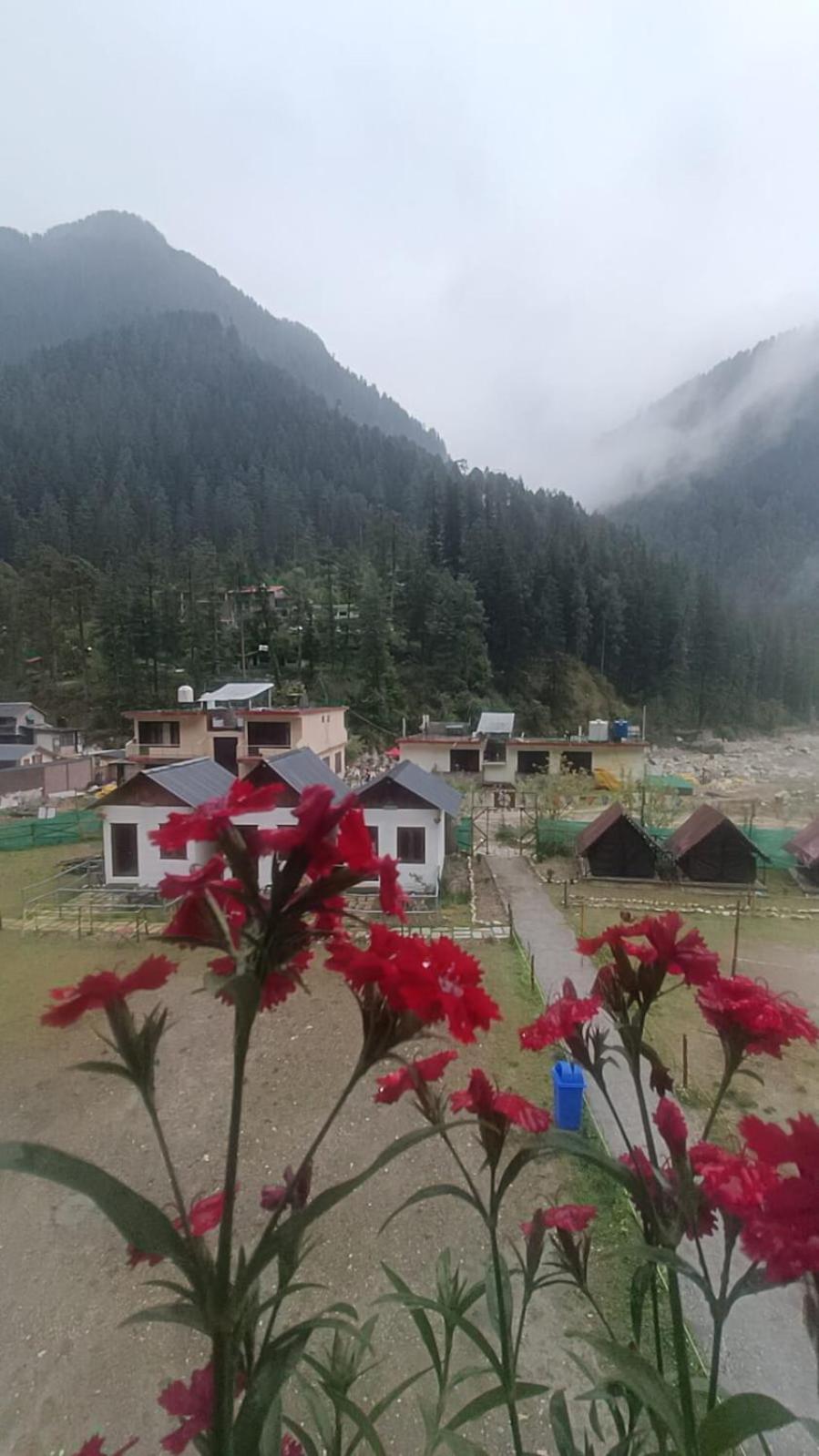 Himtrek Stay Kasol Eksteriør bilde