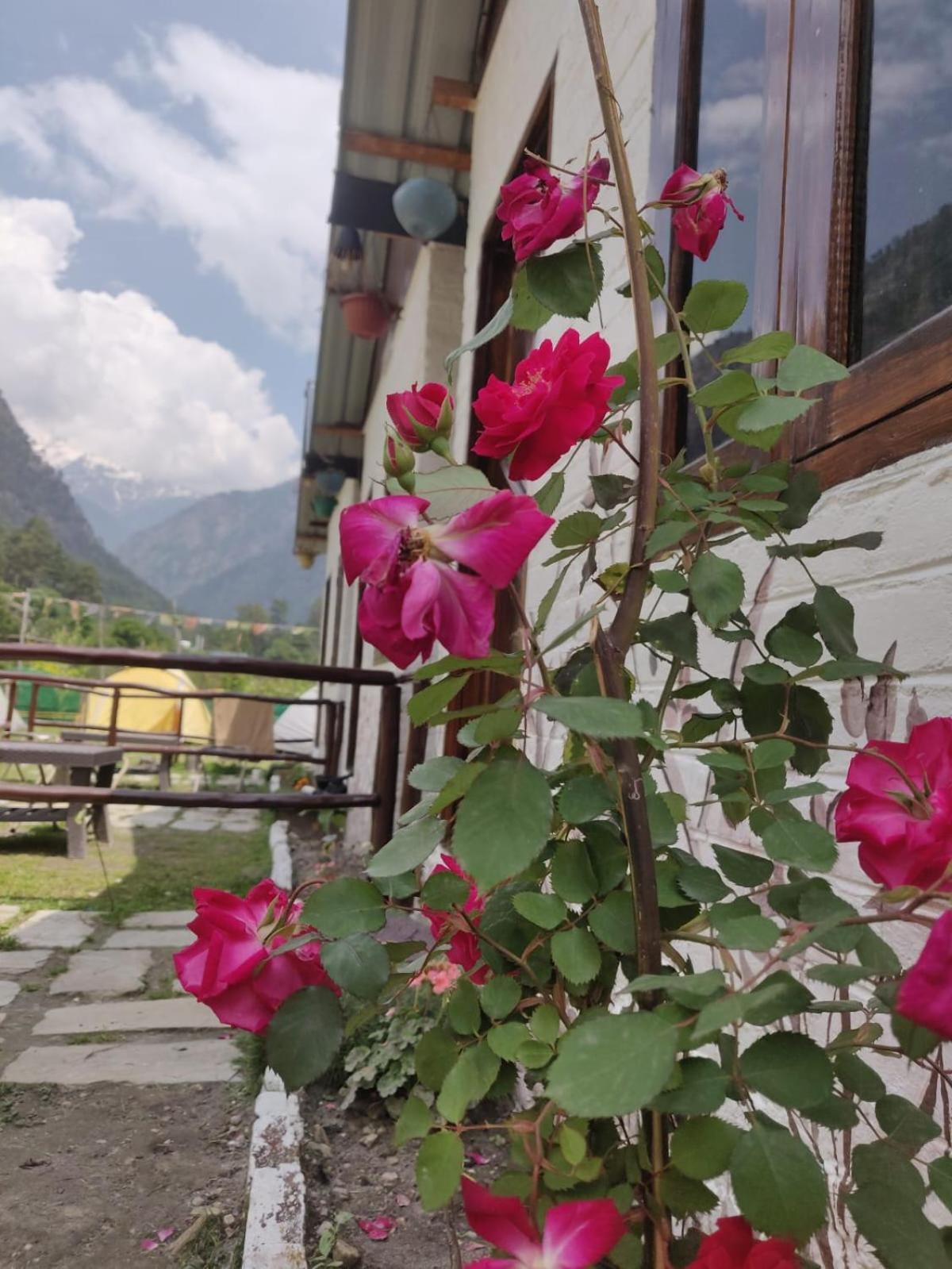 Himtrek Stay Kasol Eksteriør bilde