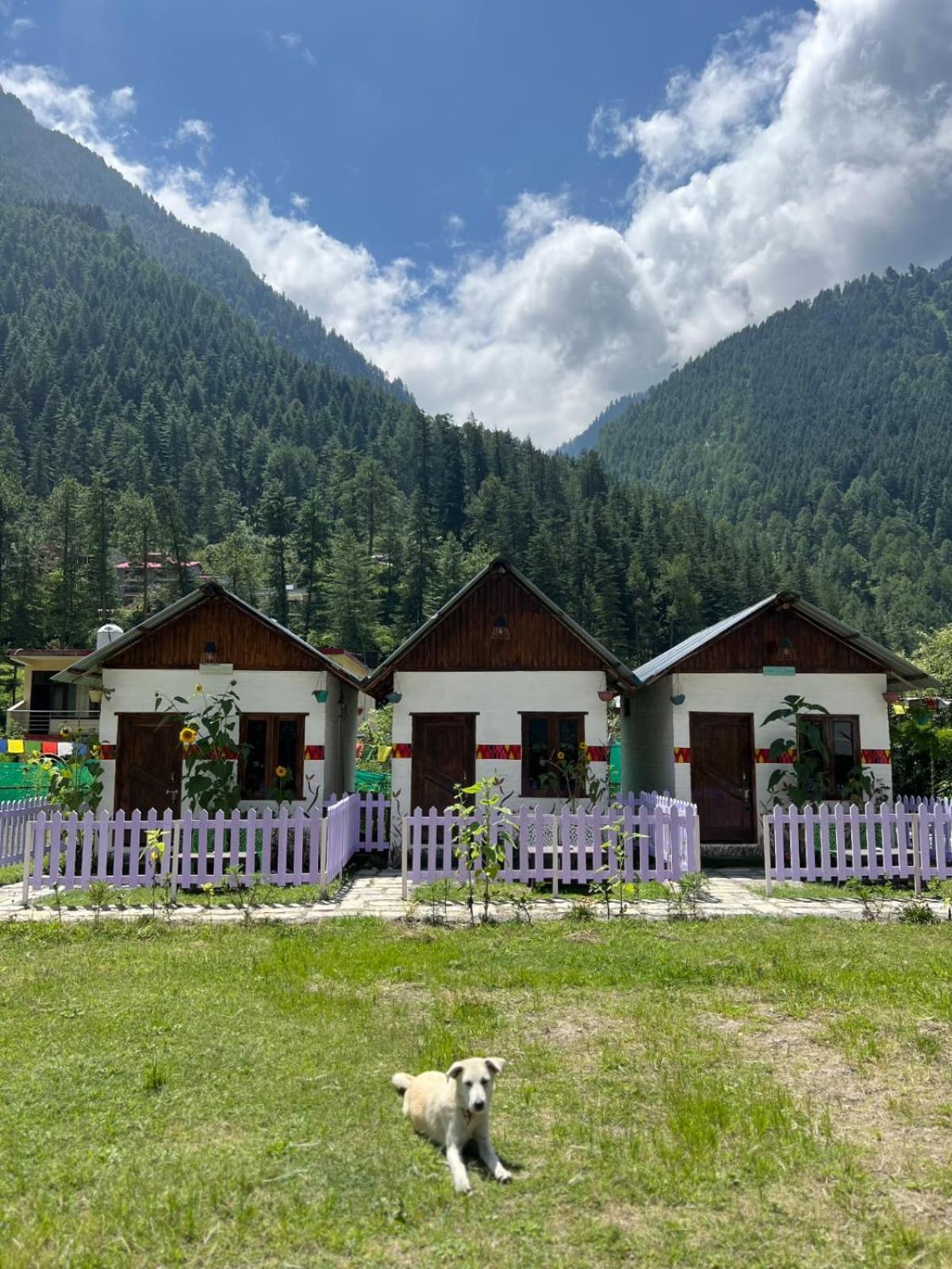 Himtrek Stay Kasol Eksteriør bilde