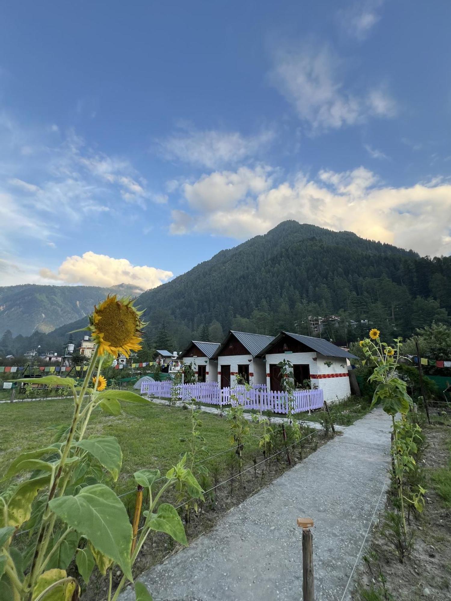 Himtrek Stay Kasol Eksteriør bilde