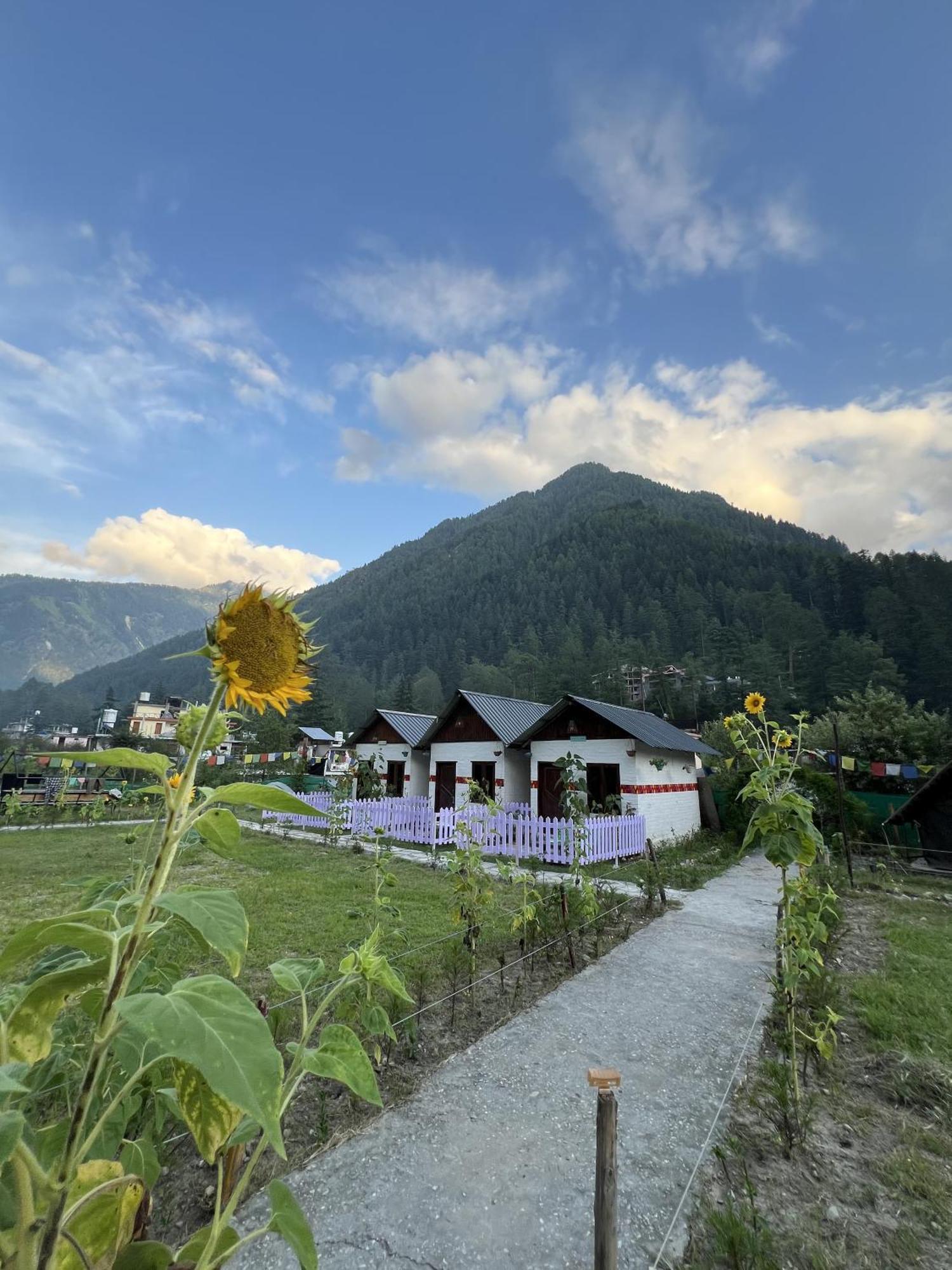 Himtrek Stay Kasol Eksteriør bilde